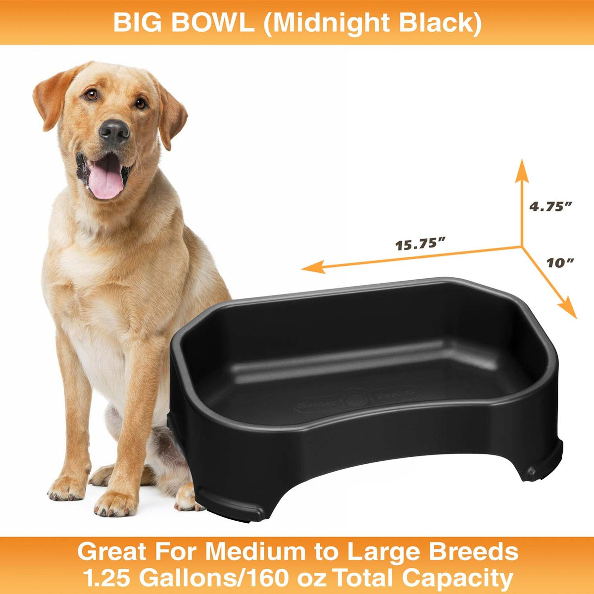 Raised Pet Bowl product image 48