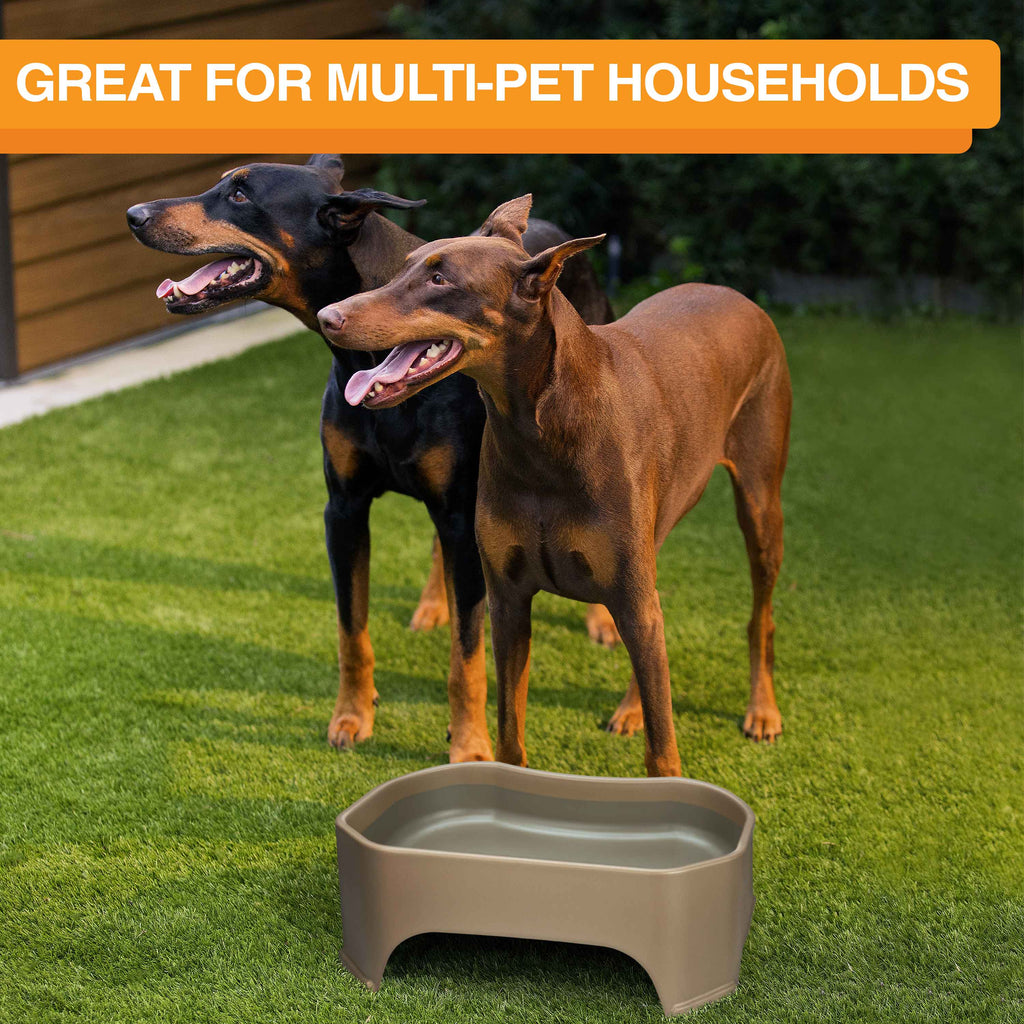 Raised Pet Bowl product image 51