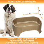 Raised Pet Bowl product image 52