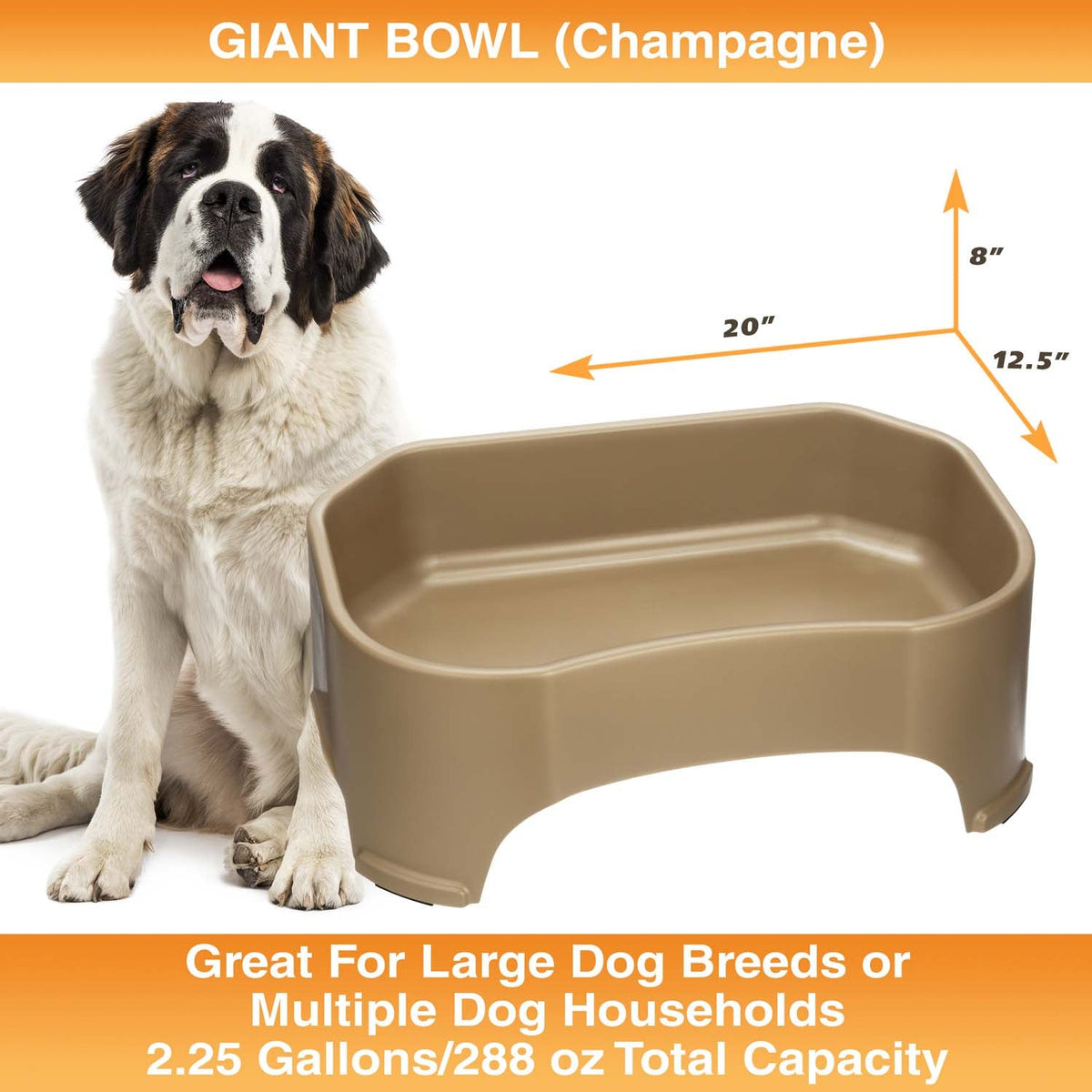 Raised Pet Bowl product image 52