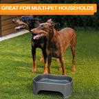 Raised Pet Bowl product image 55