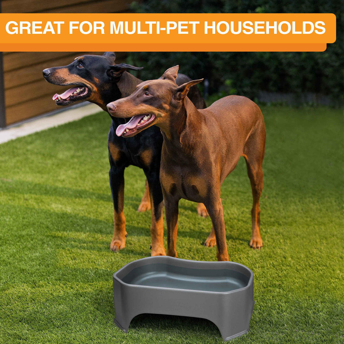 Raised Pet Bowl product image 55