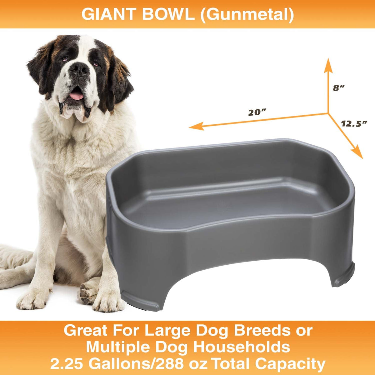 Raised Pet Bowl product image 56