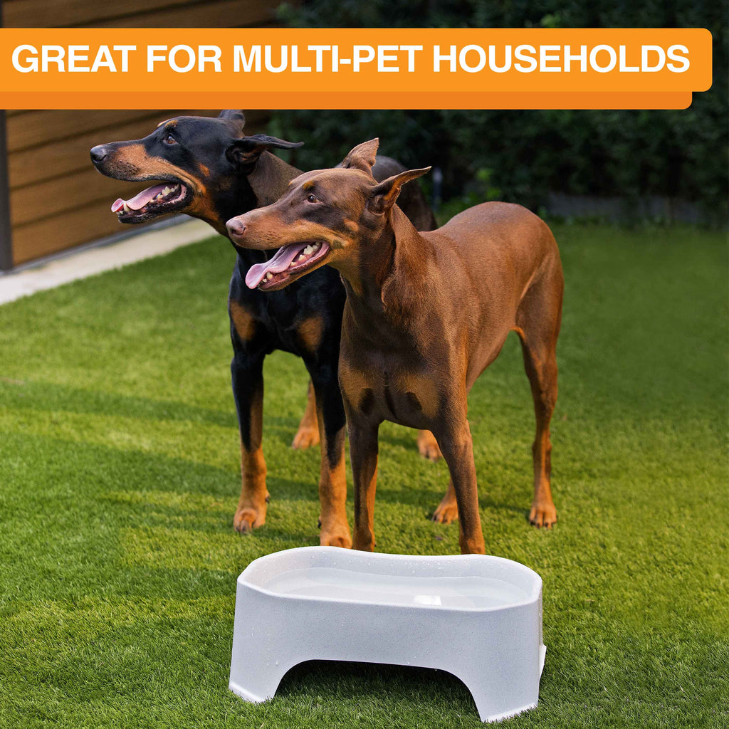 Raised Pet Bowl product image 59