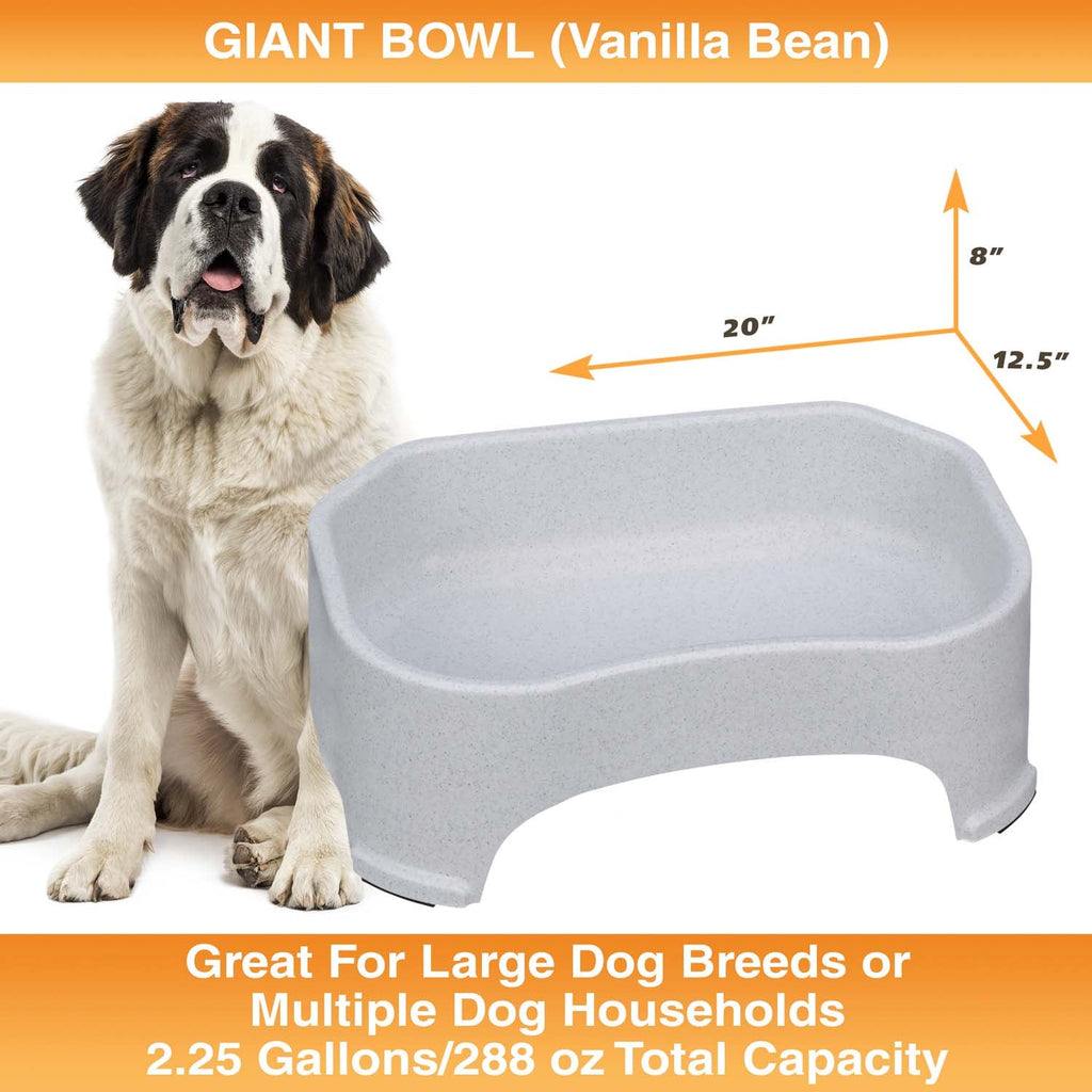 Raised Pet Bowl product image 60