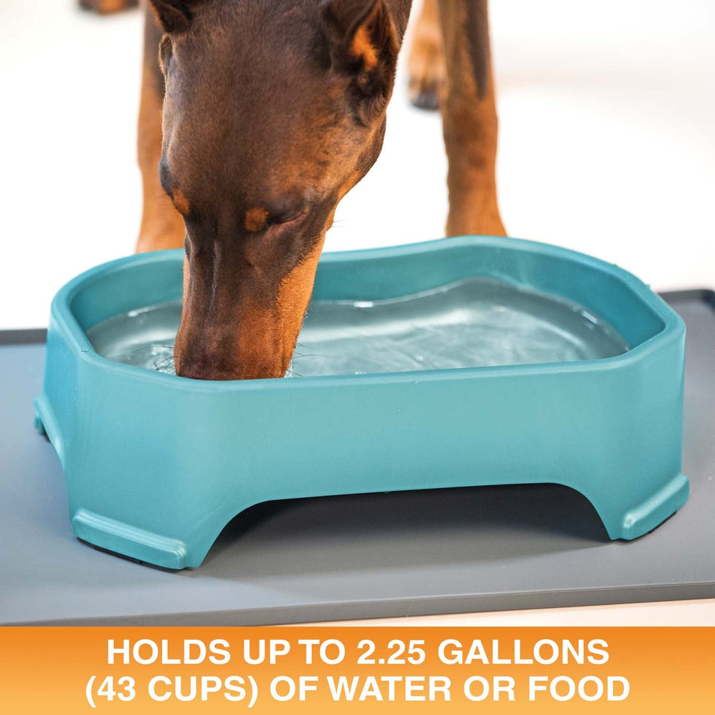 Raised Pet Bowl product image 62