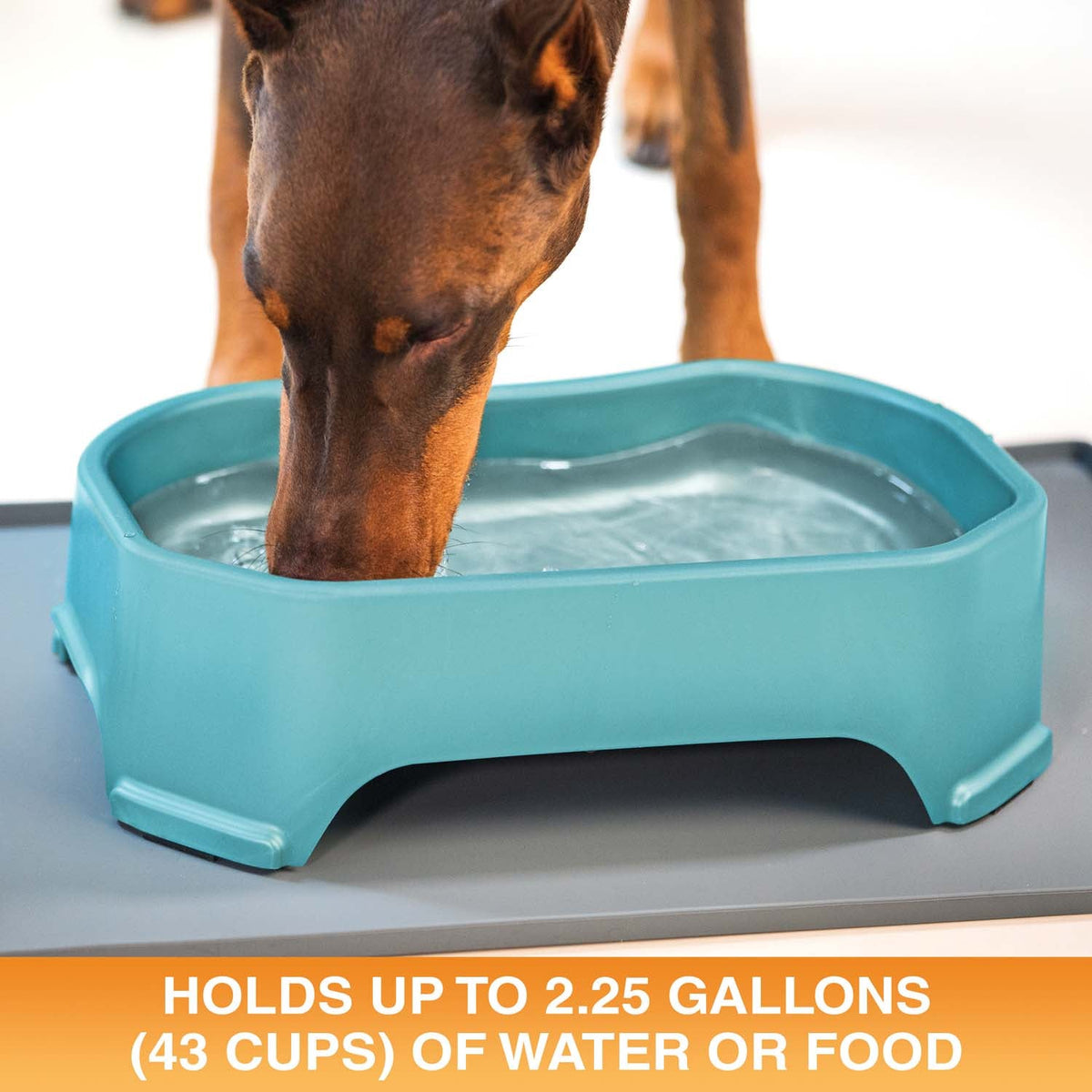 Raised Pet Bowl product image 62