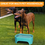 Raised Pet Bowl product image 63