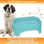 Raised Pet Bowl product image 64