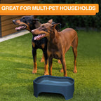 Raised Pet Bowl product image 67