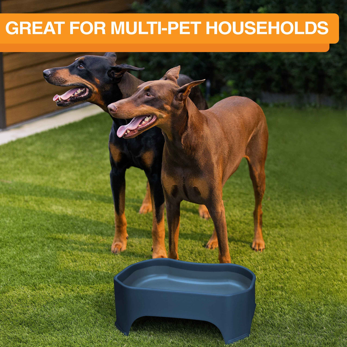 Raised Pet Bowl product image 67