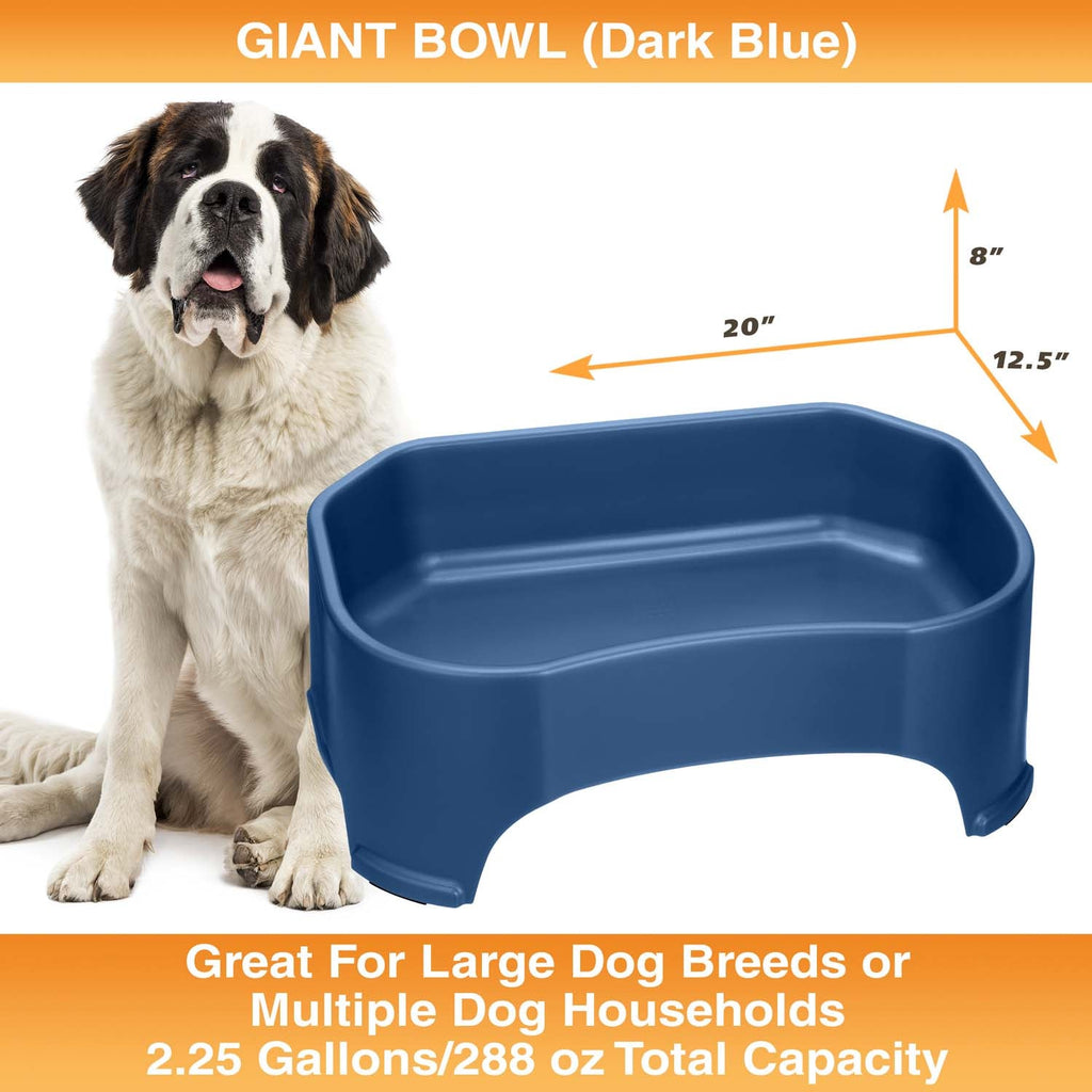 Raised Pet Bowl product image 68