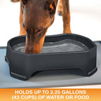 Raised Pet Bowl product image 70