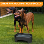 Raised Pet Bowl product image 71