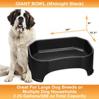 Raised Pet Bowl product image 72