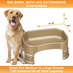 Raised Pet Bowl product image 76