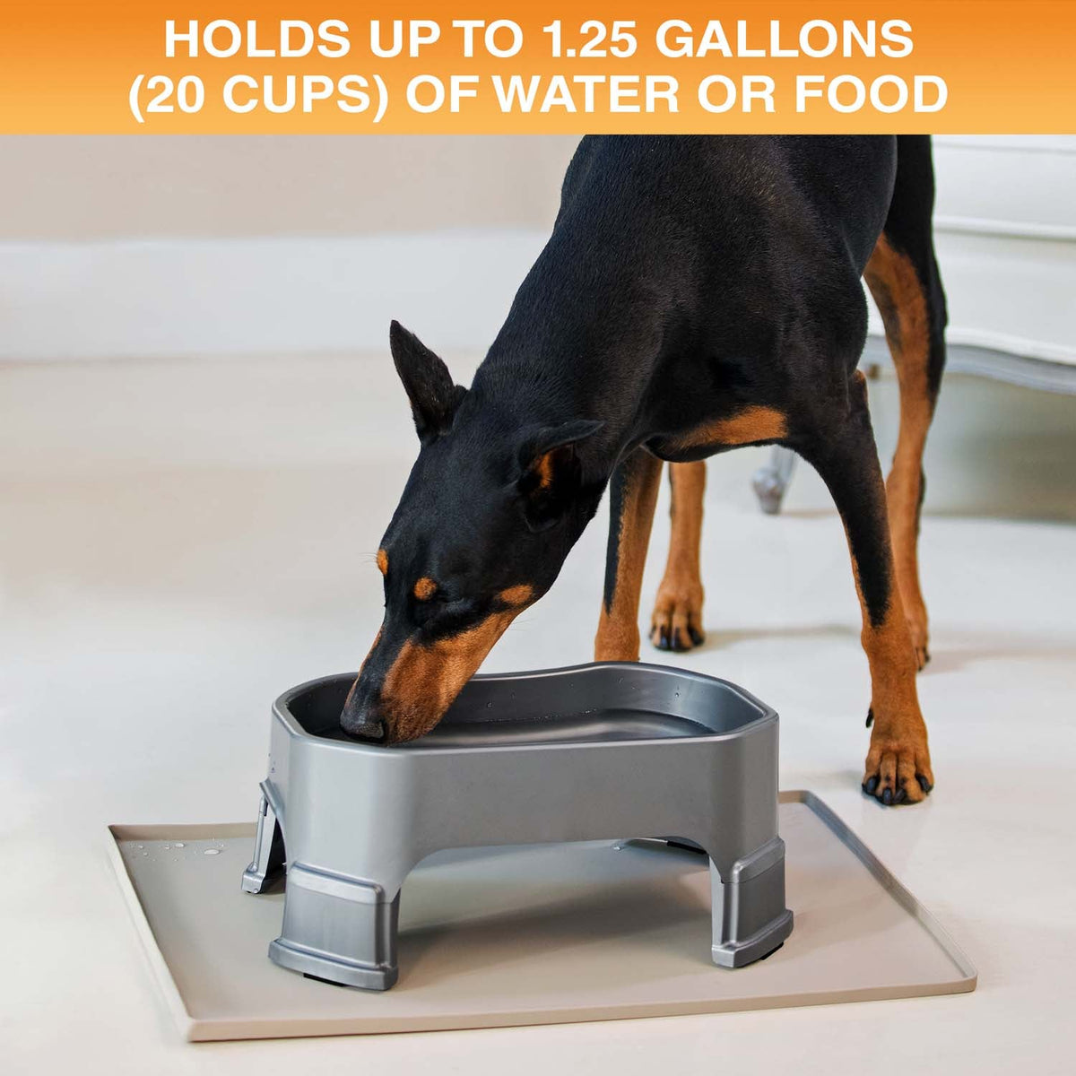 Raised Pet Bowl product image 79
