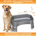 Raised Pet Bowl product image 81