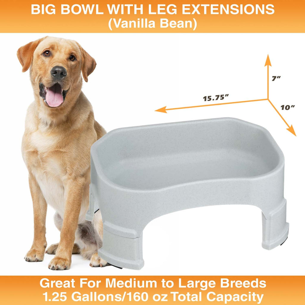 Raised Pet Bowl product image 85