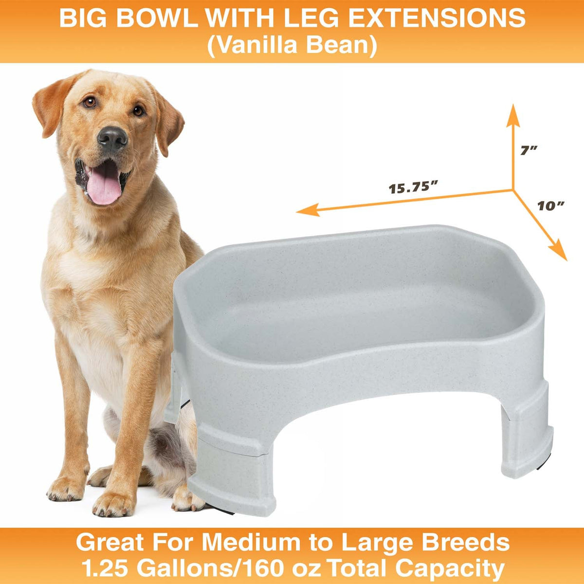 Raised Pet Bowl product image 85