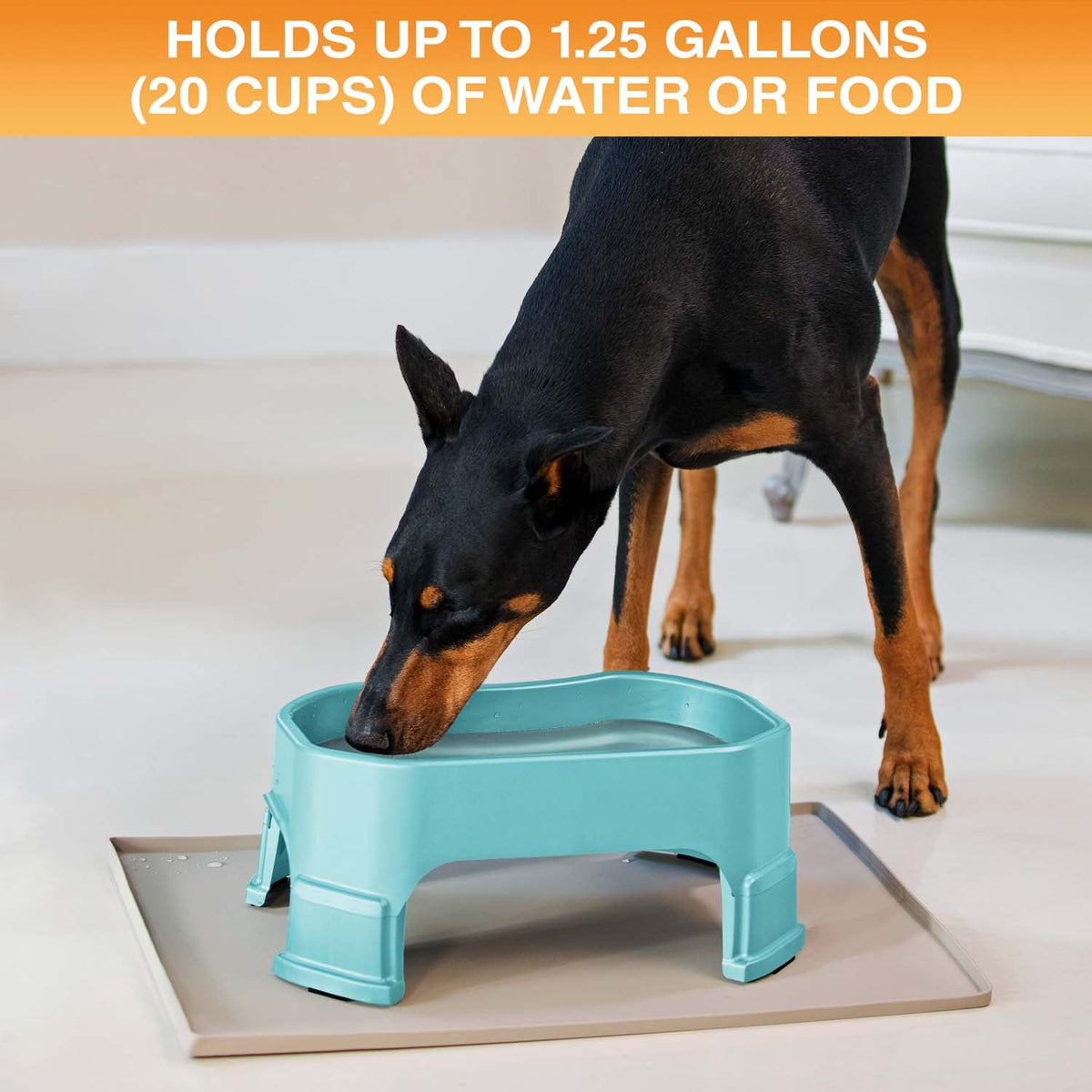 Raised Pet Bowl product image 87