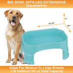 Raised Pet Bowl product image 89