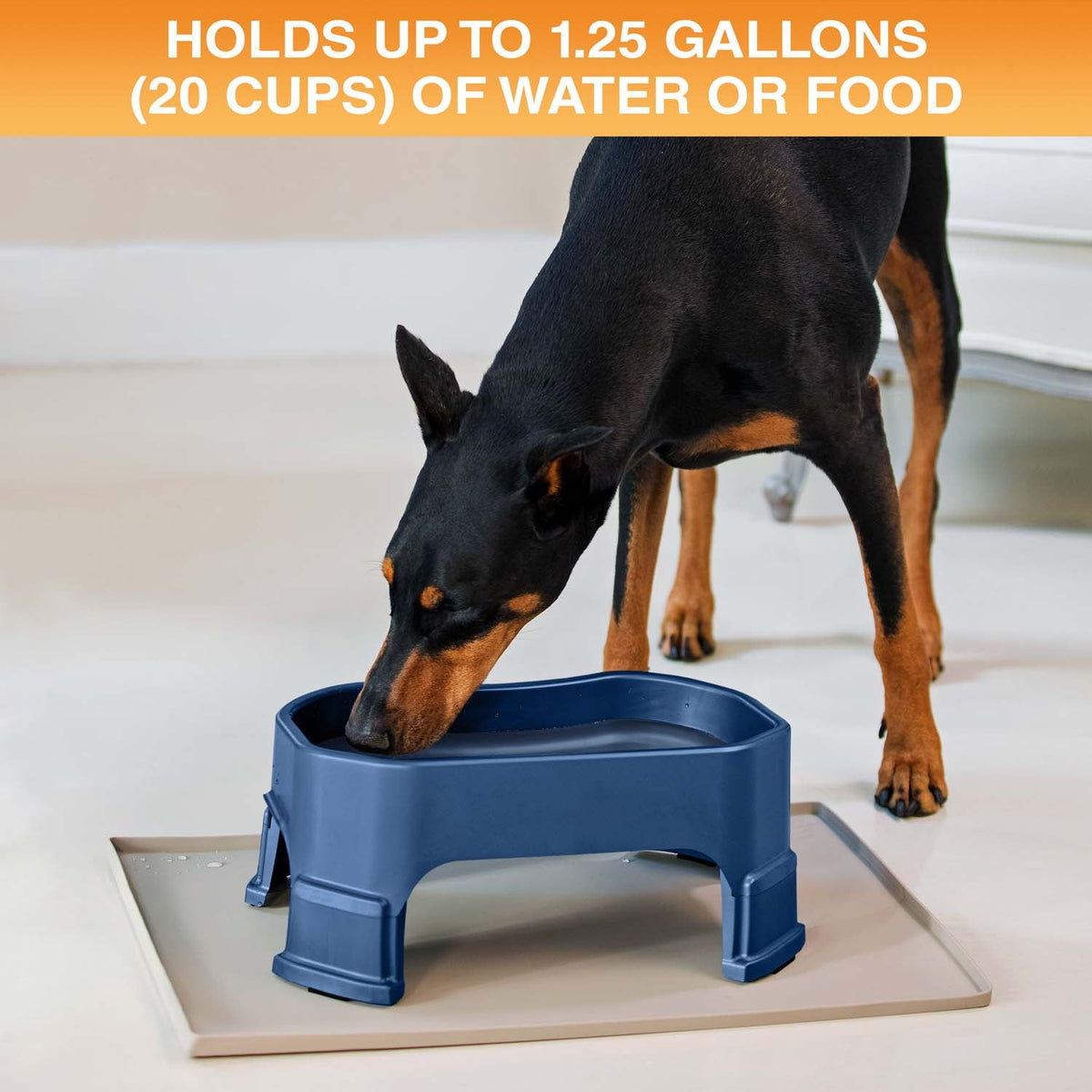 Raised Pet Bowl product image 91