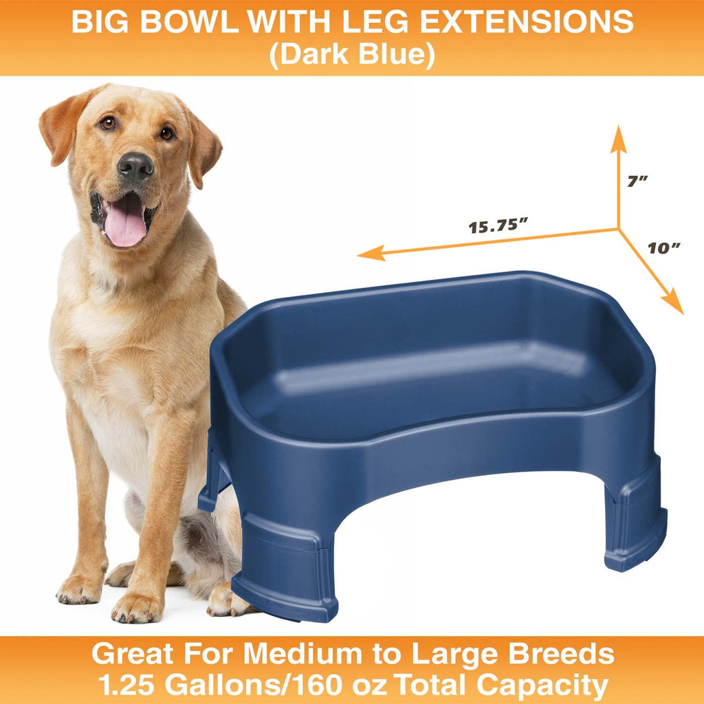Raised Pet Bowl product image 93