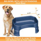 Raised Pet Bowl product image 93