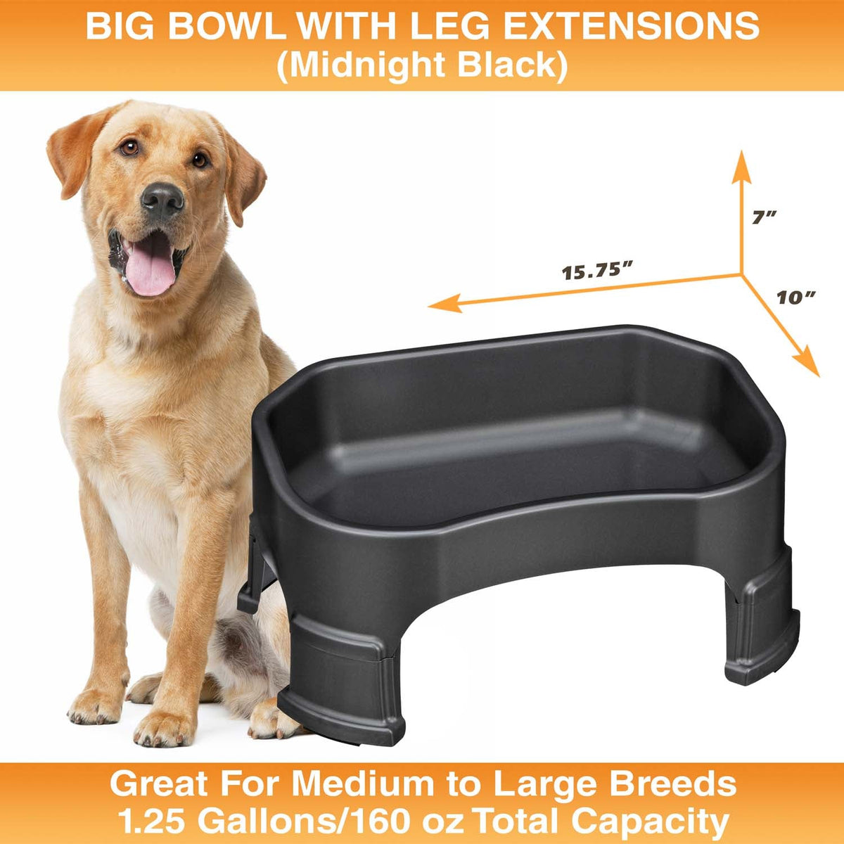 Raised Pet Bowl product image 97