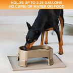 Raised Pet Bowl product image 99