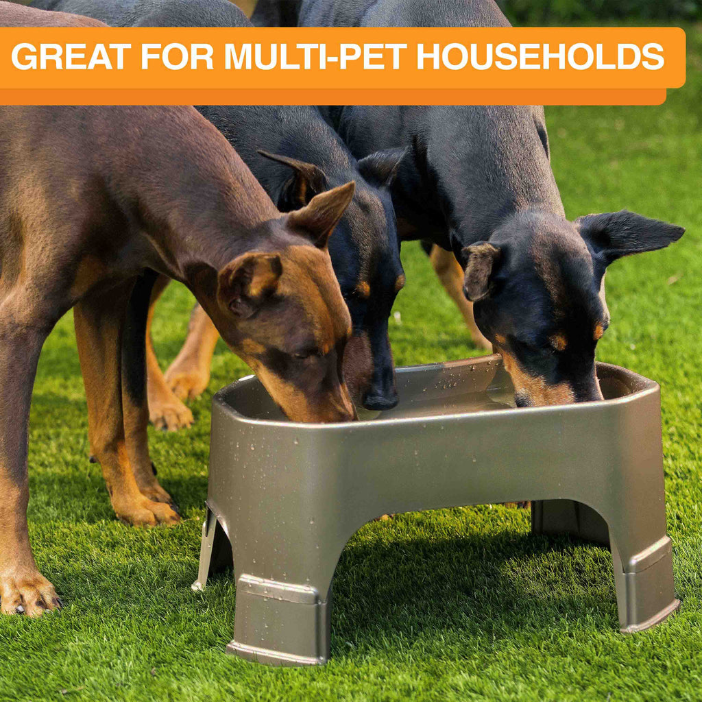 Raised Pet Bowl product image 101