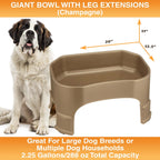 Raised Pet Bowl product image 102