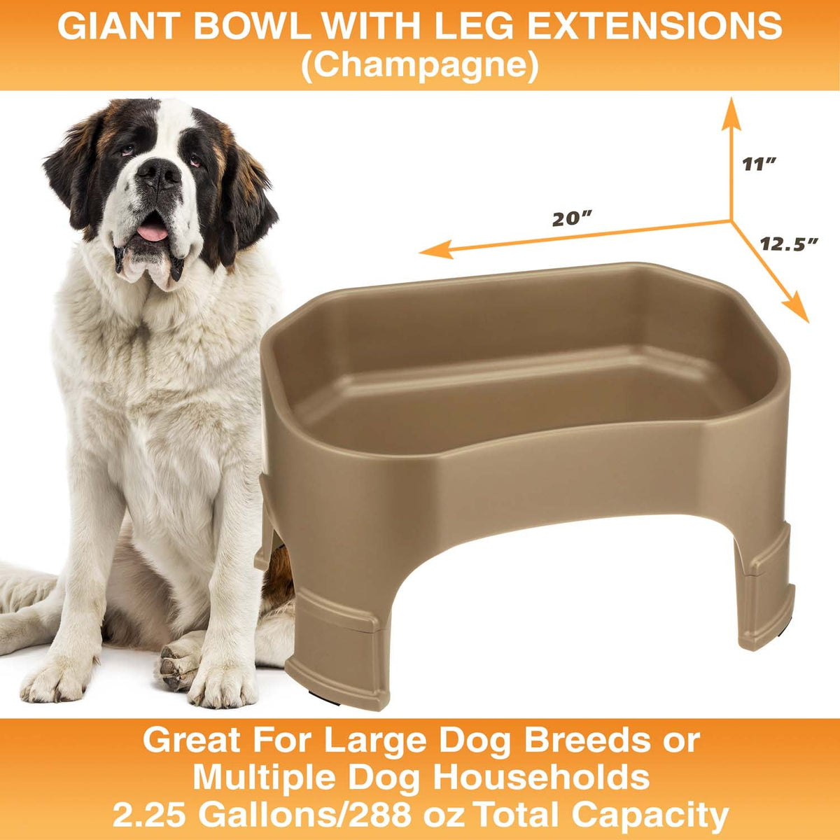 Raised Pet Bowl product image 102