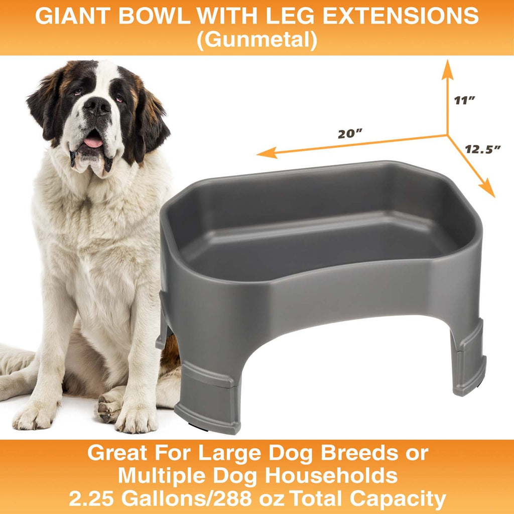 Raised Pet Bowl product image 107