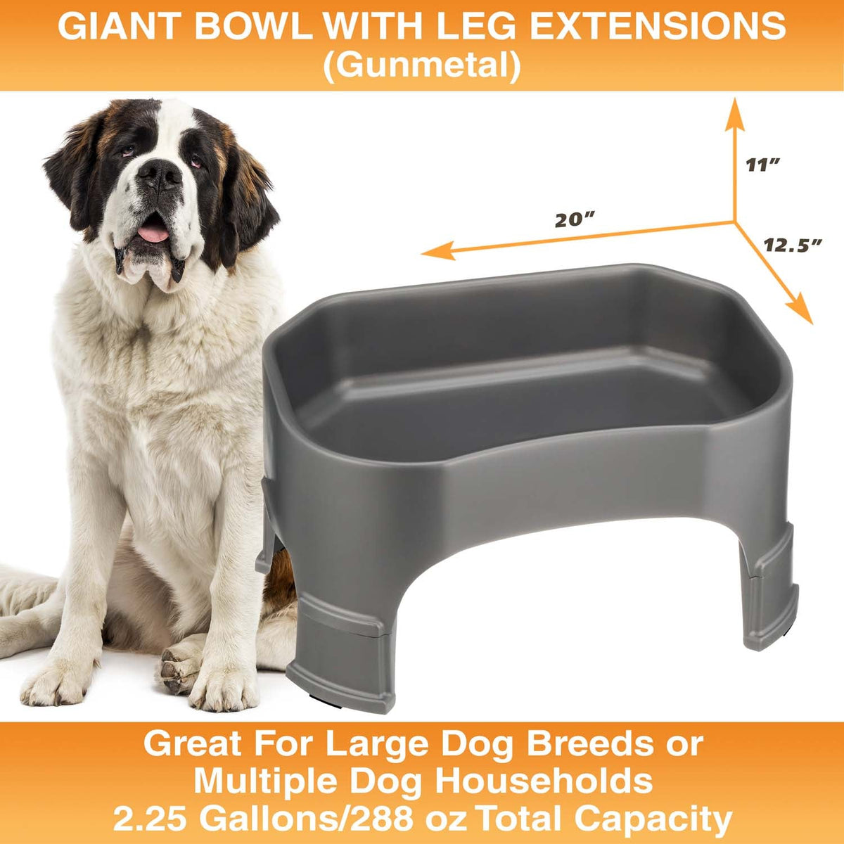 Raised Pet Bowl product image 107