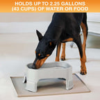 Raised Pet Bowl product image 109