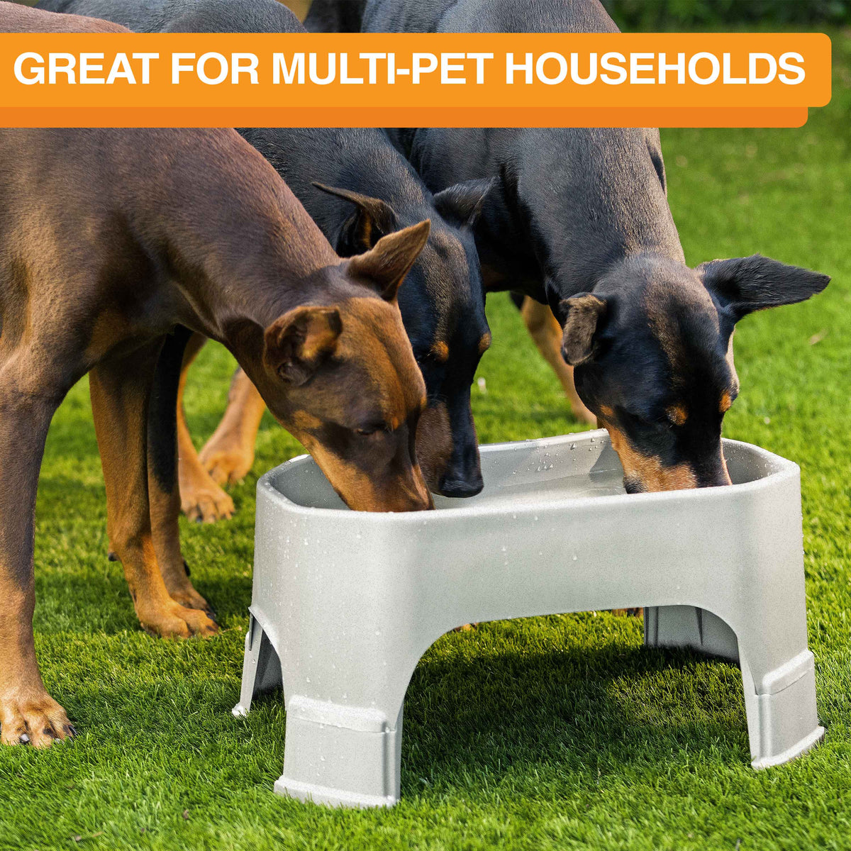 Raised Pet Bowl product image 111