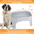 Raised Pet Bowl product image 112
