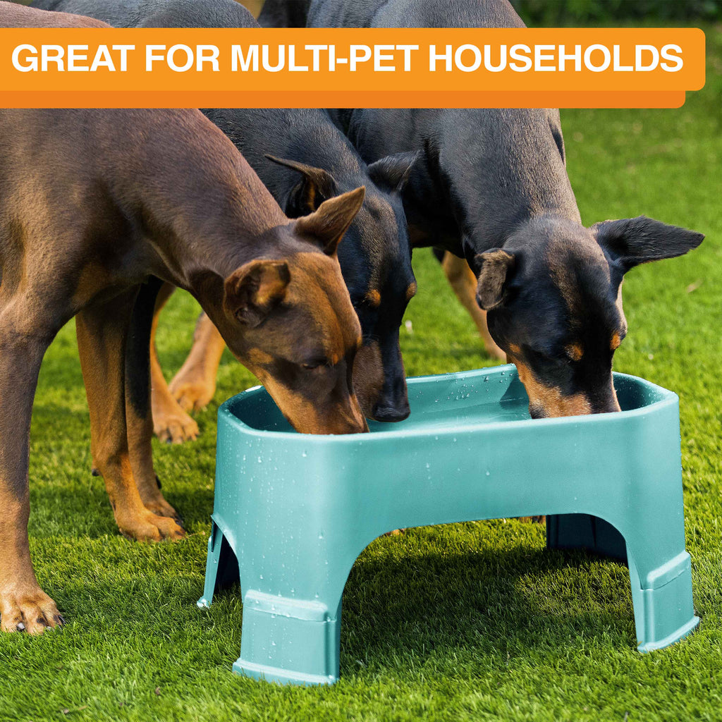 Raised Pet Bowl product image 116