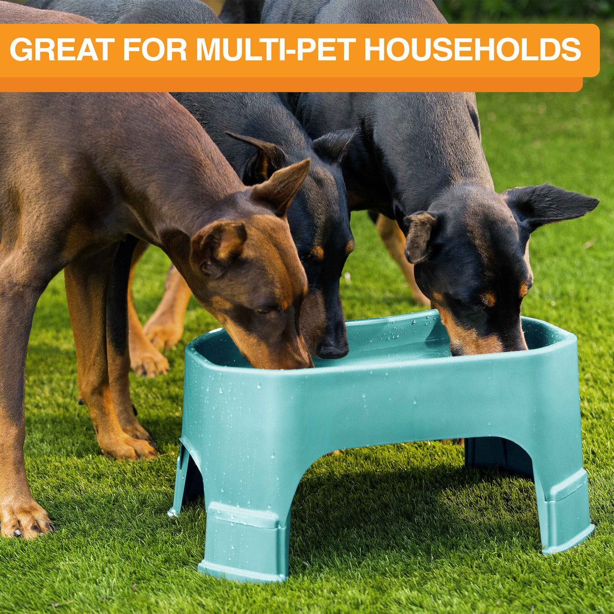 Raised Pet Bowl product image 116