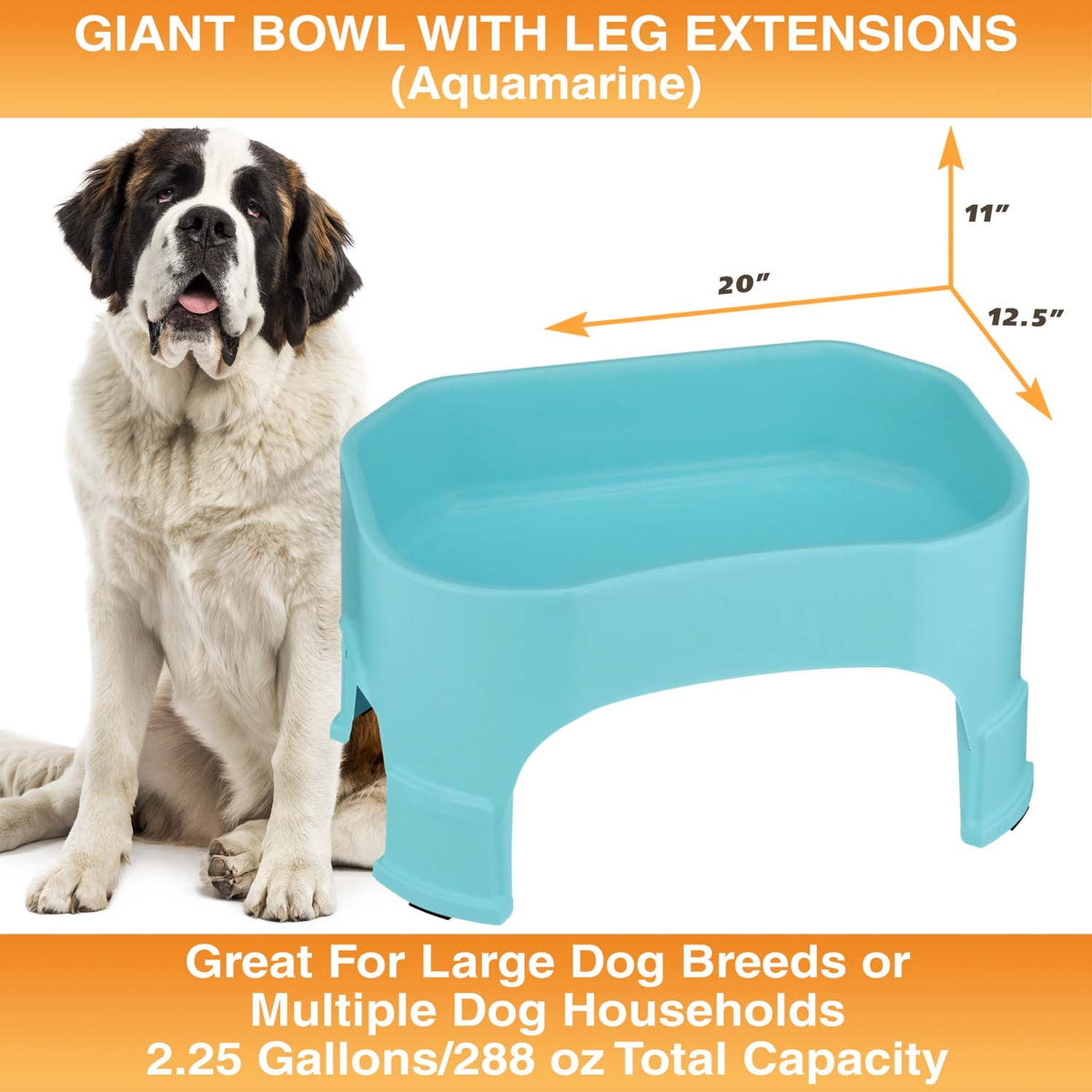 Raised Pet Bowl product image 117