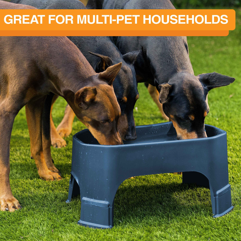 Raised Pet Bowl product image 121