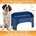 Raised Pet Bowl product image 122