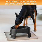 Raised Pet Bowl product image 124