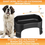 Raised Pet Bowl product image 127