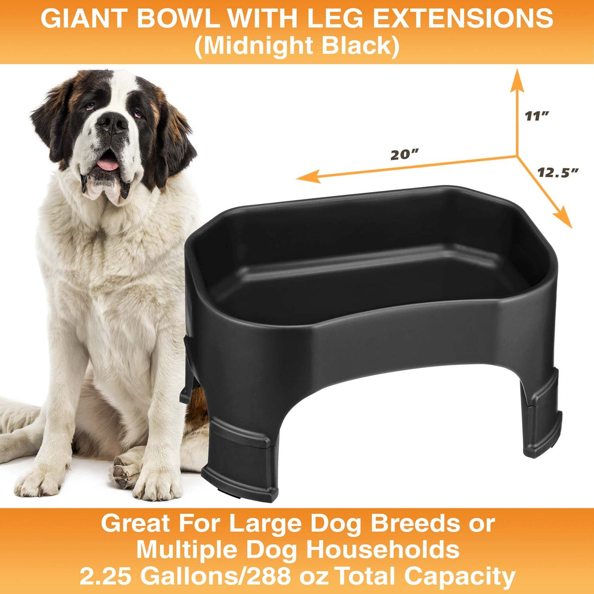 Raised Pet Bowl product image 127