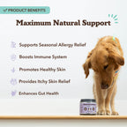 Dog Allergy Chews product image 3