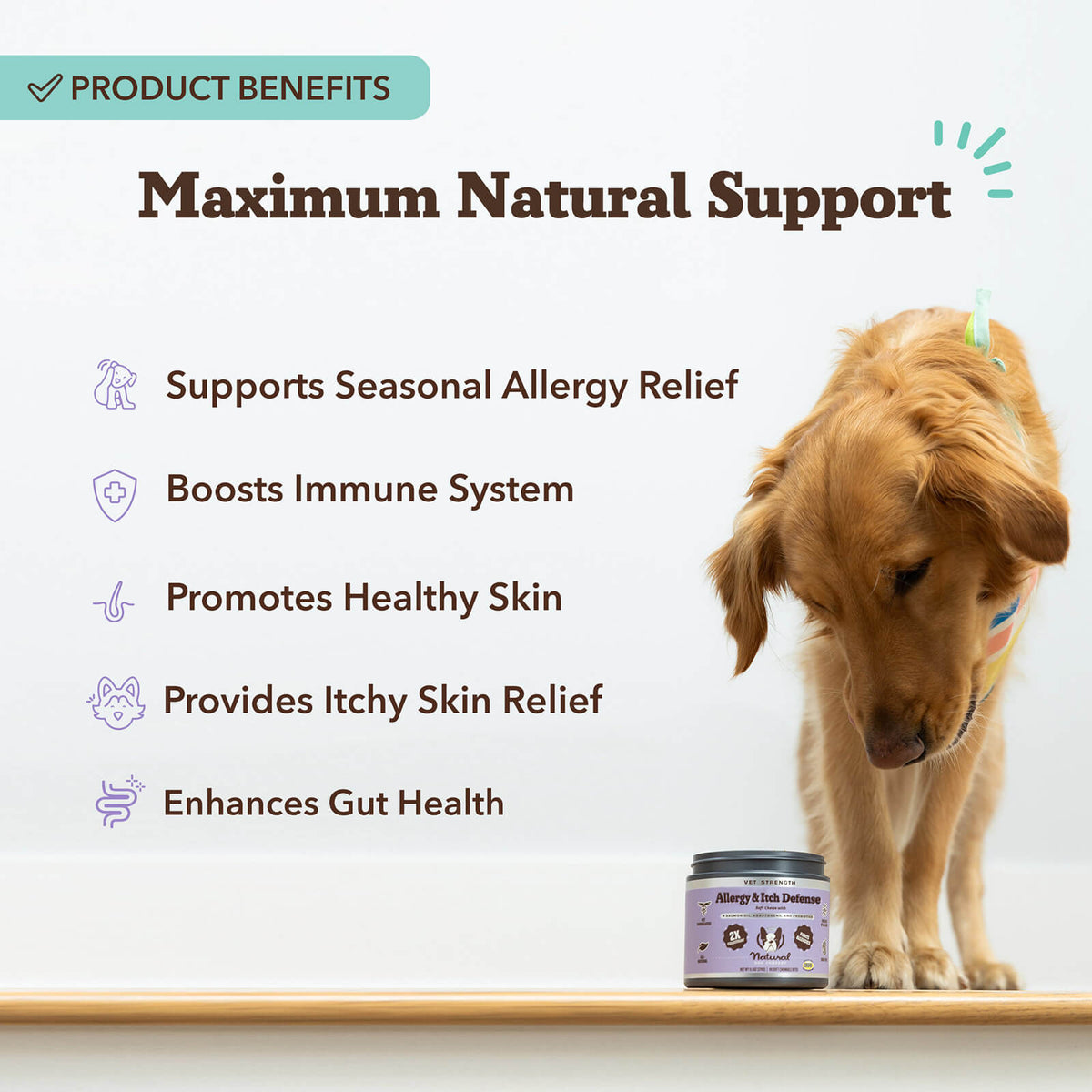 Dog Allergy Chews product image 3