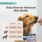 Dog Allergy Chews product image 6